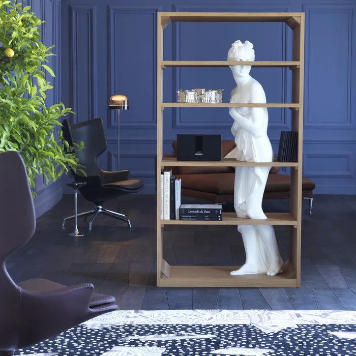 “Contemporary Venus chair by Driade featuring smooth ergonomic form and luxury craftsmanship”