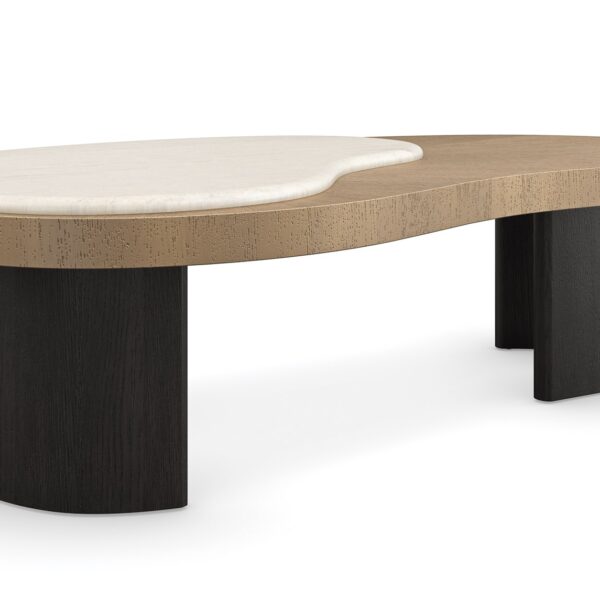Contrast Cocktail Table by Caracole — a sleek rectangular table with a bold two-tone wood finish.