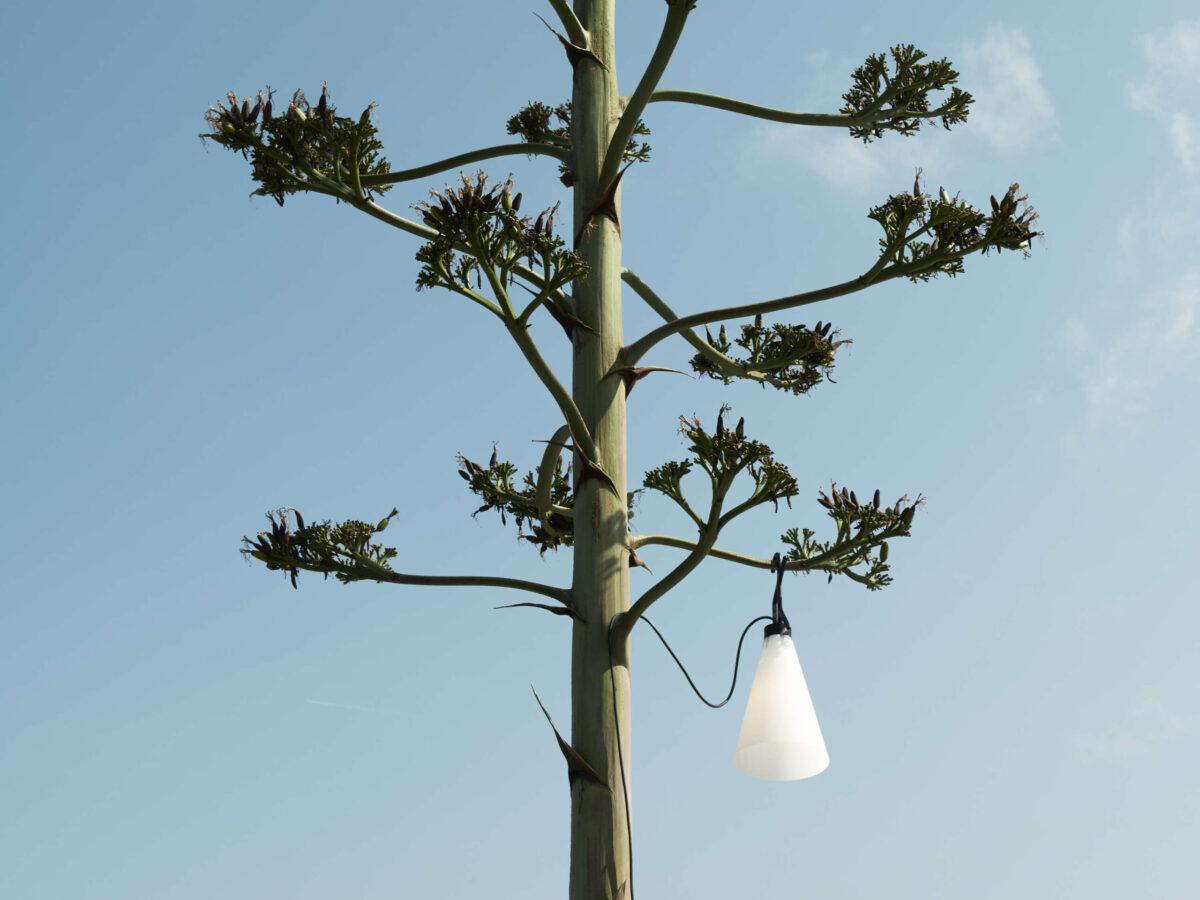 An outdoor-ready Flos Mayday lamp, showcasing its durable, weather-resistant design with an IP65 rating, perfect for illuminating patios, gardens, or temporary outdoor setups.