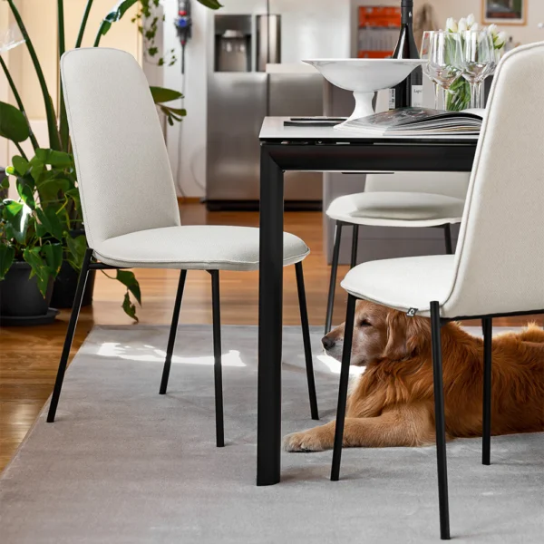 “RILEY by Connubia modern Italian chair – upholstered seat with low curved back and slender metal legs”