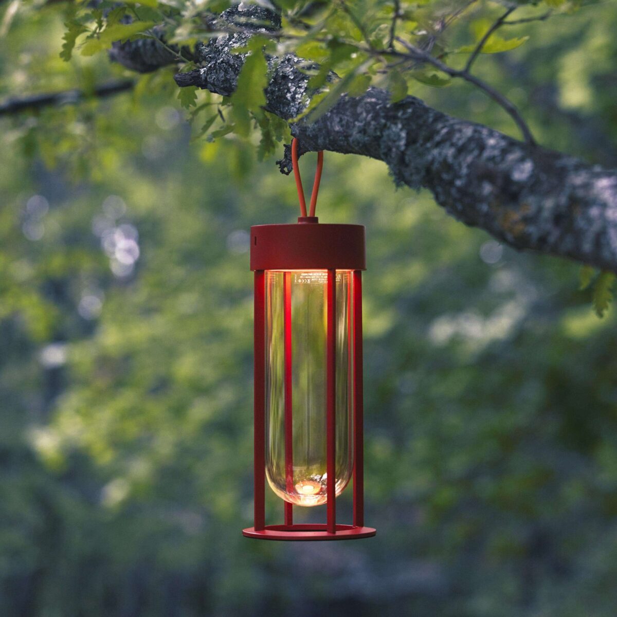In Vitro Unplugged lamp by Flos showcasing portable carry handle and integrated dimmer, displayed at the Michigan Design Center
