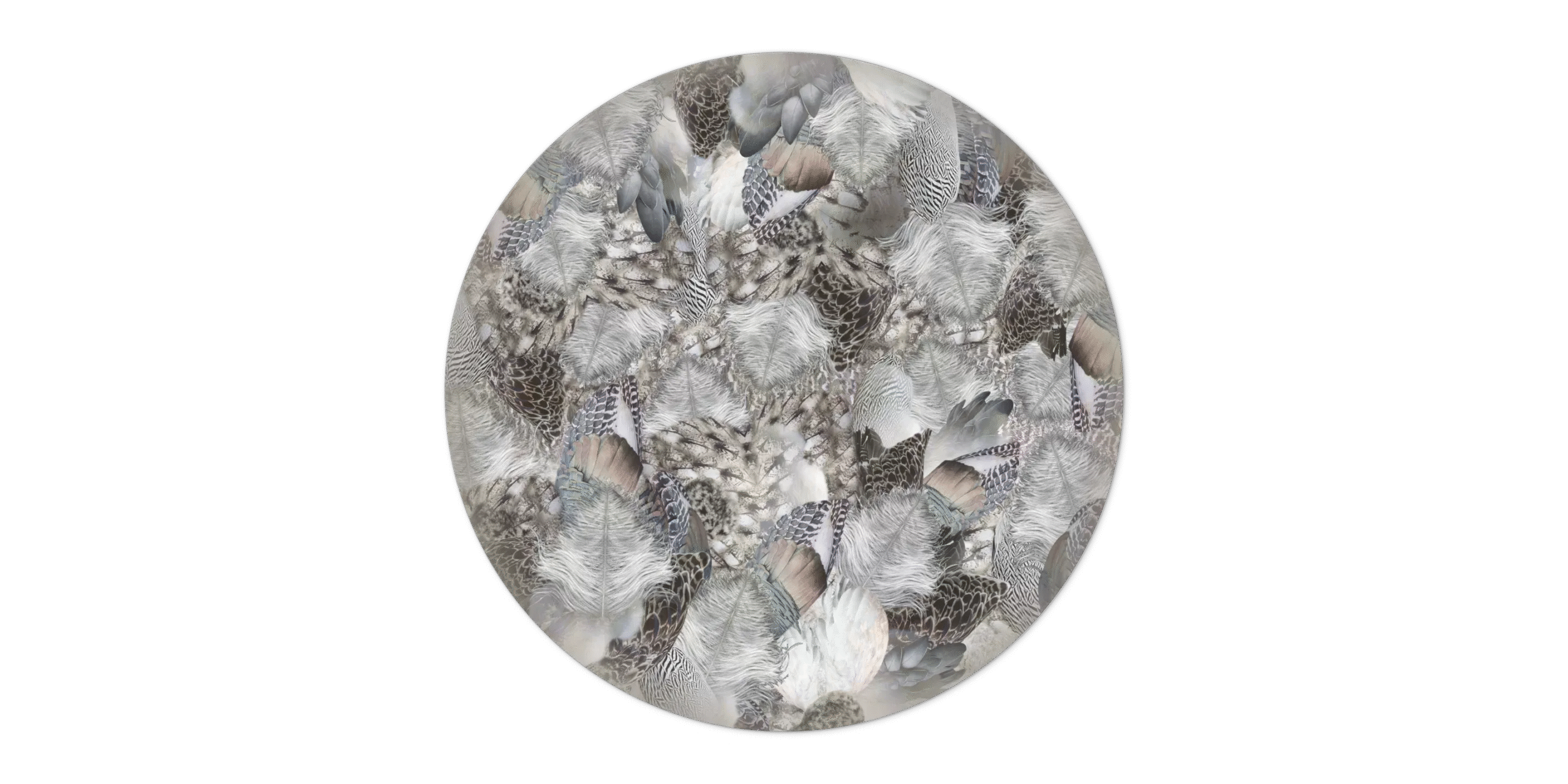 Dodo Pavone Carpet by Moooi – luxurious contemporary Italian‑design floor covering showcased at Italcasa Design showroom in Birmingham, Michigan