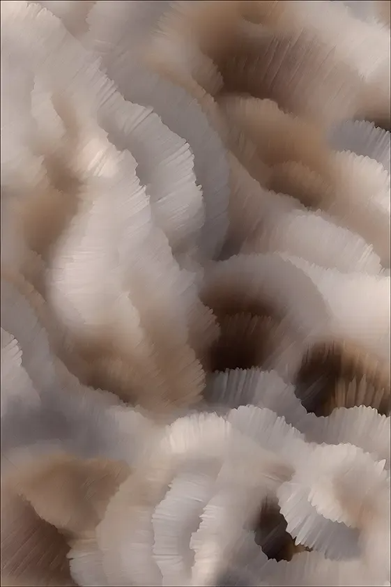 Flitter Flutter Carpet by Moooi – luxurious contemporary Italian‑design floor covering showcased at Italcasa Design showroom in Royal Oak, Michigan