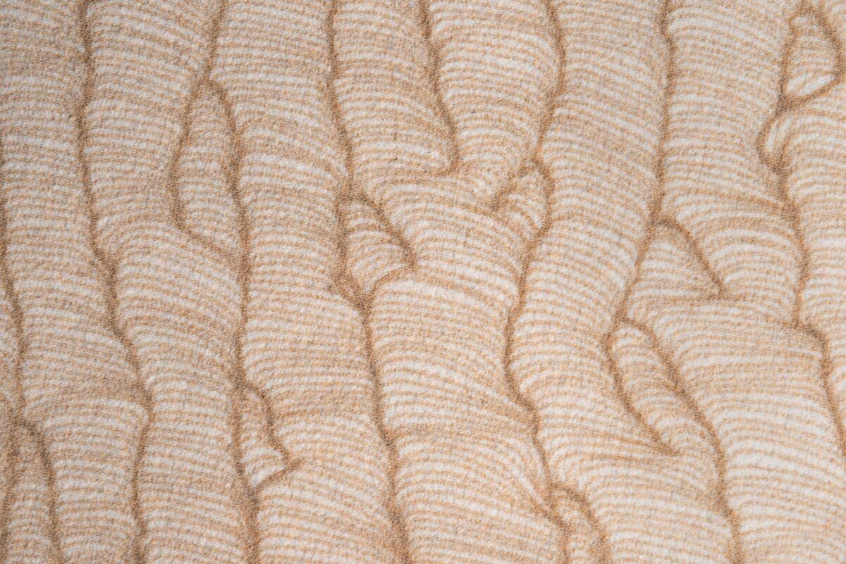 Organic Sequences carpet by Moooi in Birmingham Michigan showroom, modern contemporary Italian luxury flooring accessory by Italcasa.