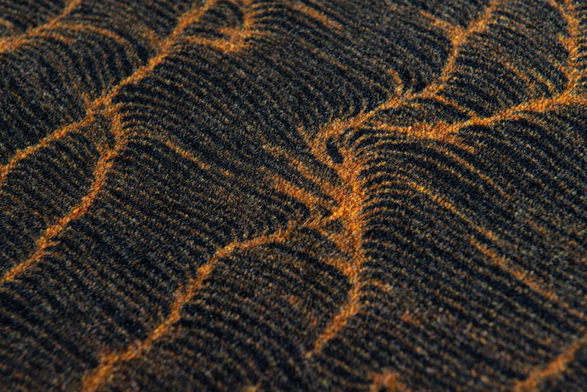Organic Sequences carpet by Moooi in Birmingham Michigan showroom, modern contemporary Italian luxury flooring accessory by Italcasa.
