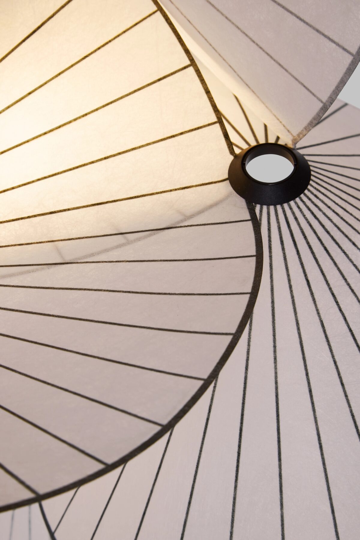 Serpentine light by Moooi in Birmingham Michigan showroom, modern contemporary Italian luxury lighting accessory by Italcasa.