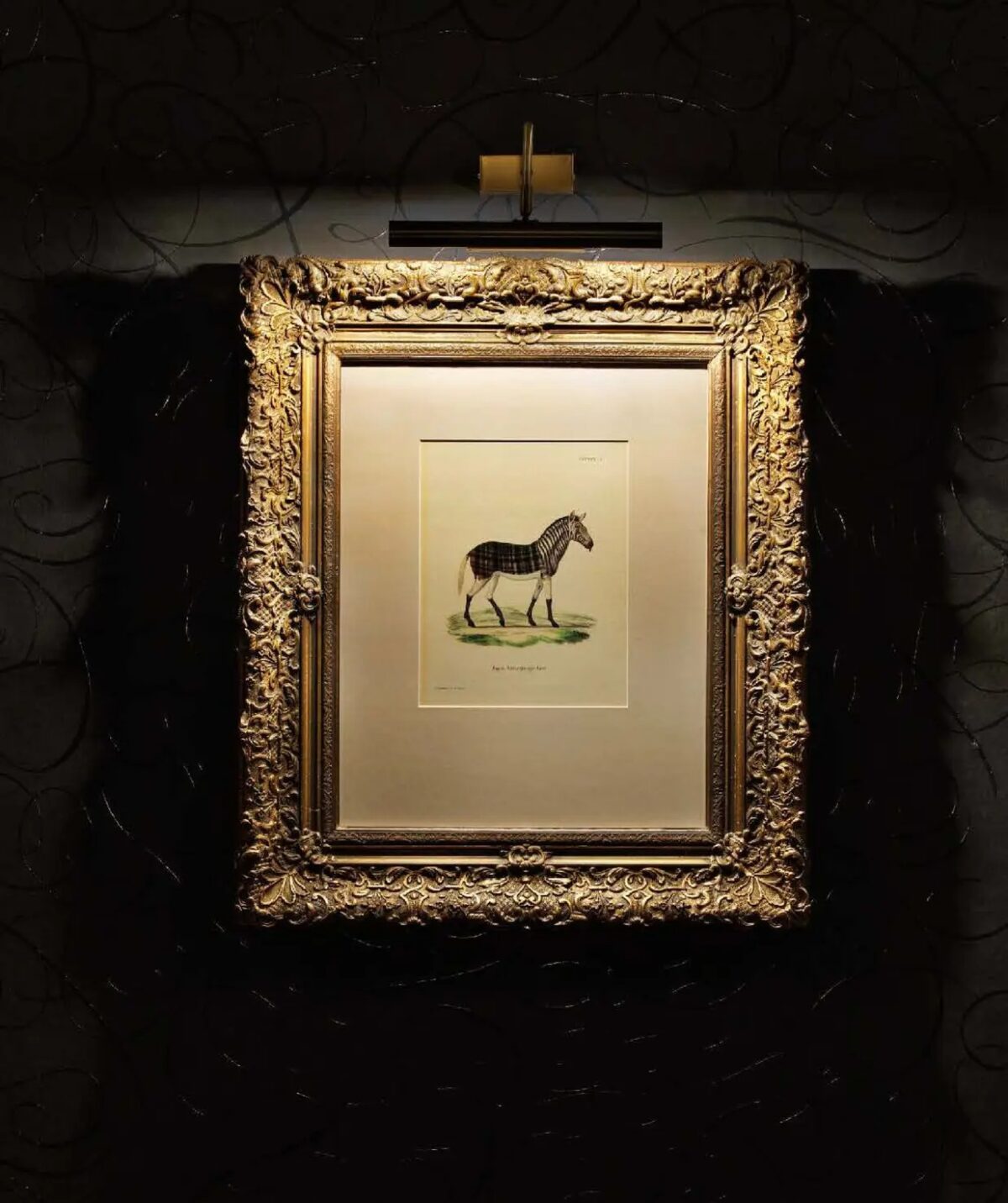 Aristo Quagga Moooi contemporary Italian wallcover in Birmingham Michigan home