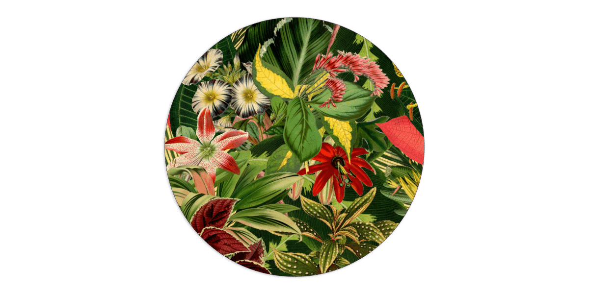 Herbarium of Extinct Plants Carpet in luxury setting, Troy Michigan
