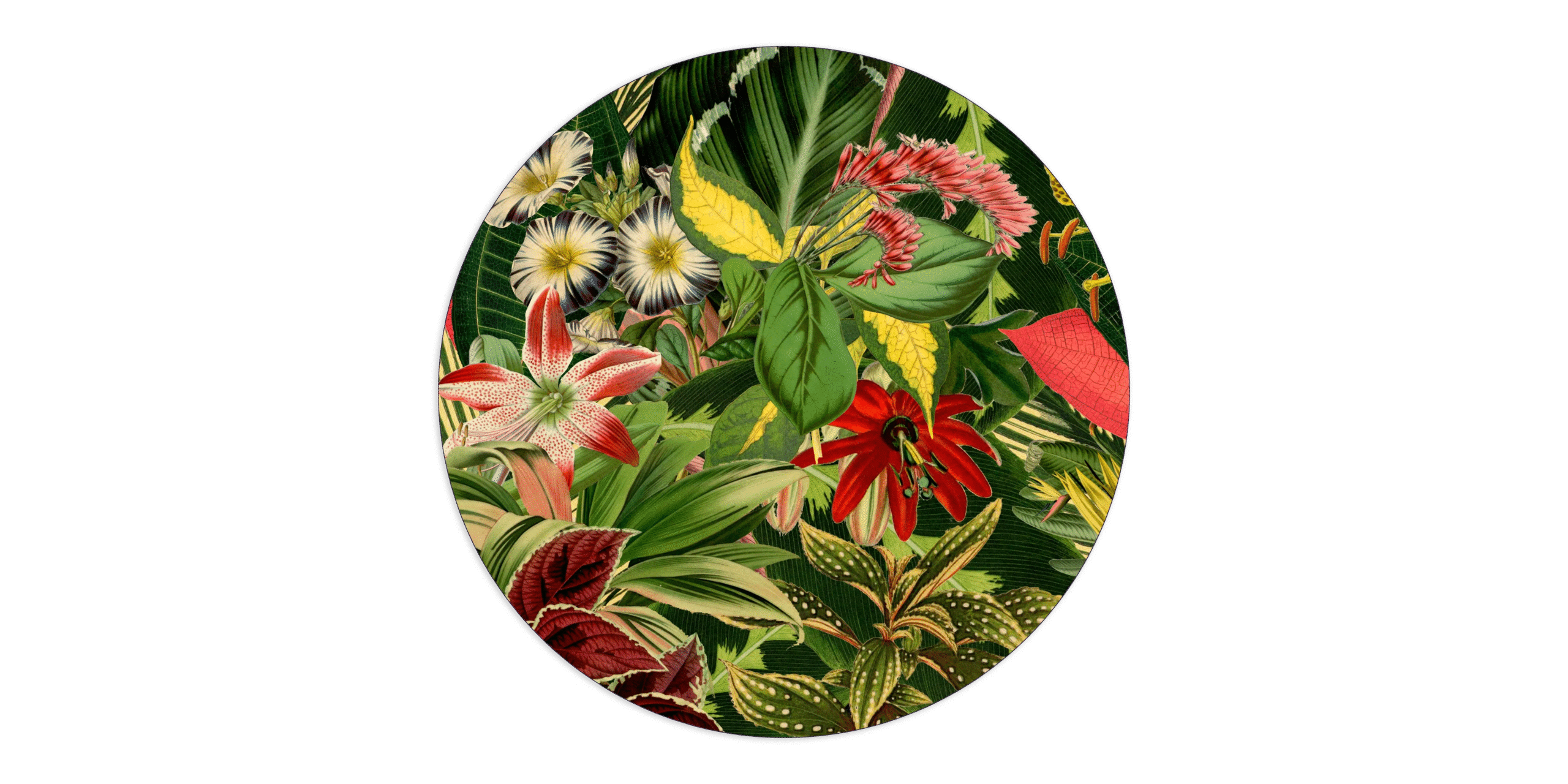 Herbarium of Extinct Plants Carpet in luxury setting, Troy Michigan