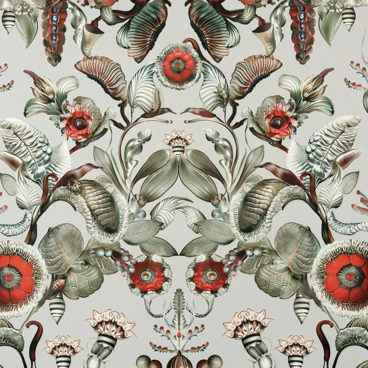 Luxurious Moooi wallcovering with Coccinella Bella design