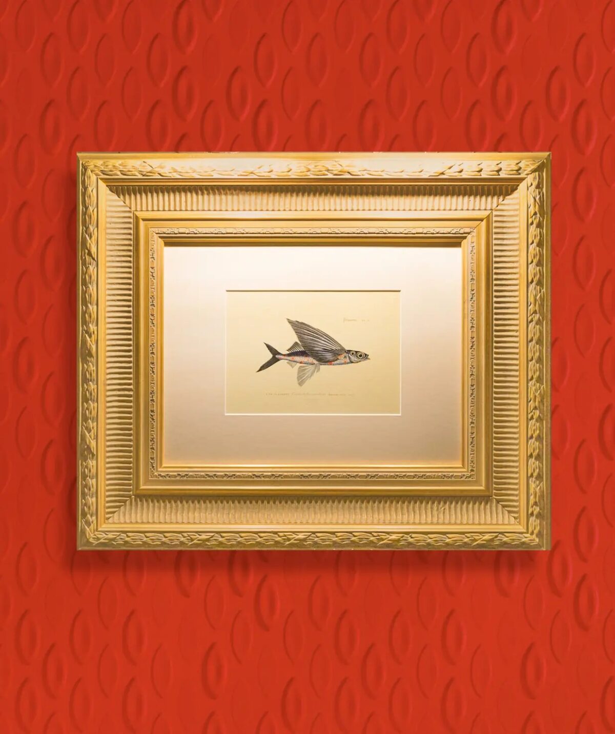 Contemporary Moooi Flying Coral Fish wall mural featured at Italcasa Design in Birmingham, Michigan