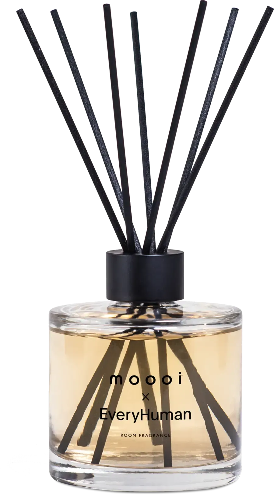Blow Away Vase by Moooi – modern Italian-style decorative vase featured at Italcasa Design showroom in Royal Oak, Michigan