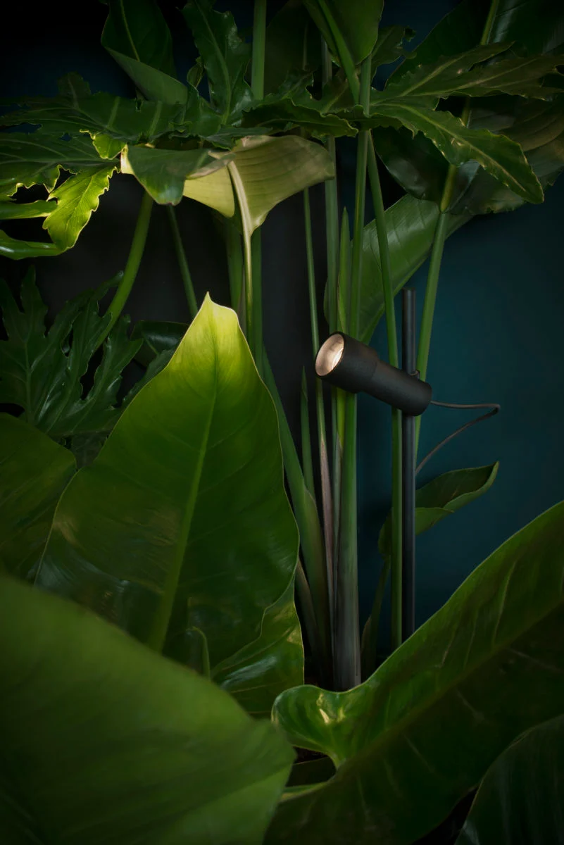 “Palosanto by Marset designer garden lamp – sustainable outdoor lighting with natural wood finish”