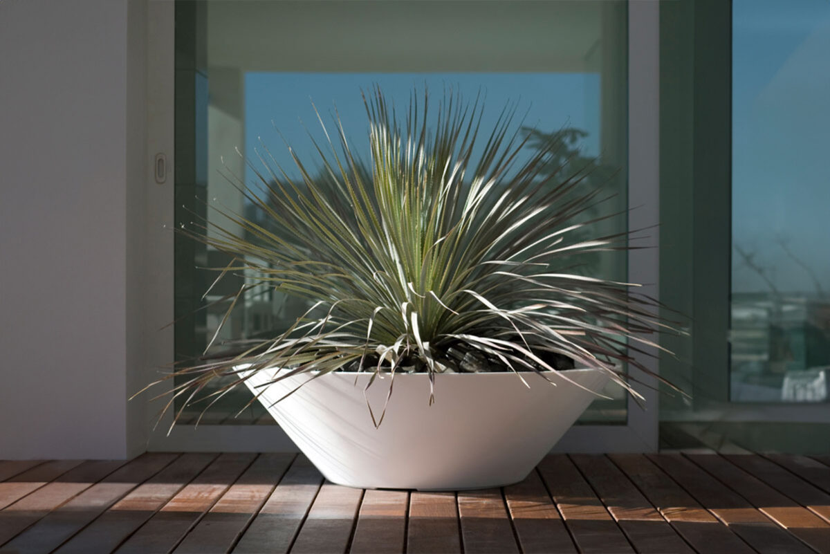 Modern Cuenco planter by Javier Mariscal for Vondom, high-end Spanish design for Royal Oak, Michigan.