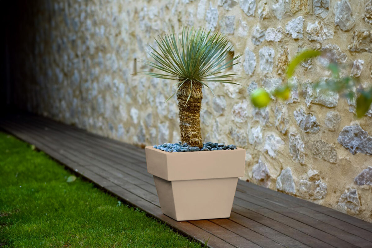 Luxury contemporary Square Glass transparent planter by Vondom, designer minimalist indoor-outdoor decor for Royal Oak, Michigan.