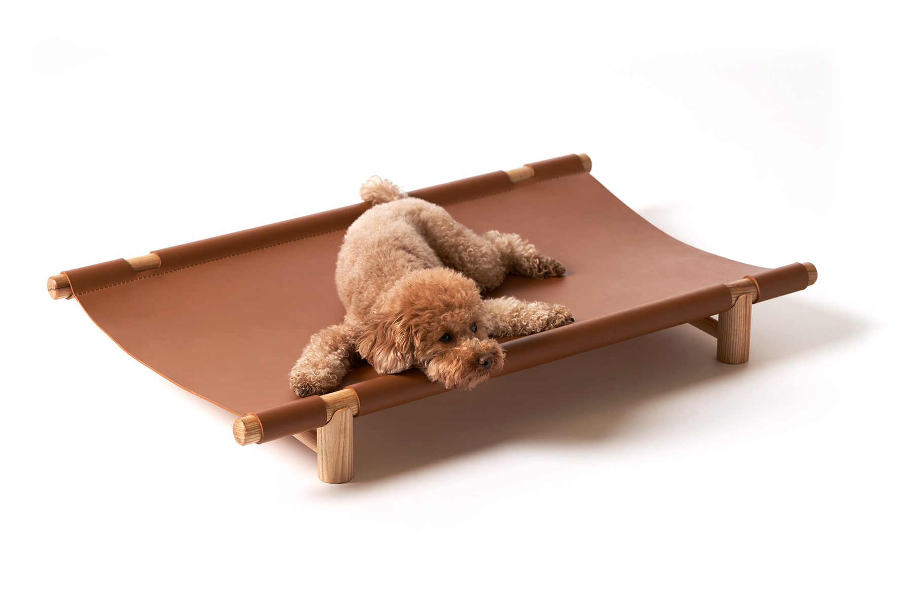 Berberé transportable dog bed by Opinion Ciatti in black leather, featuring a solid ash wood frame and waterproof leather hammock, displayed in Royal Oak, Michigan showroom.