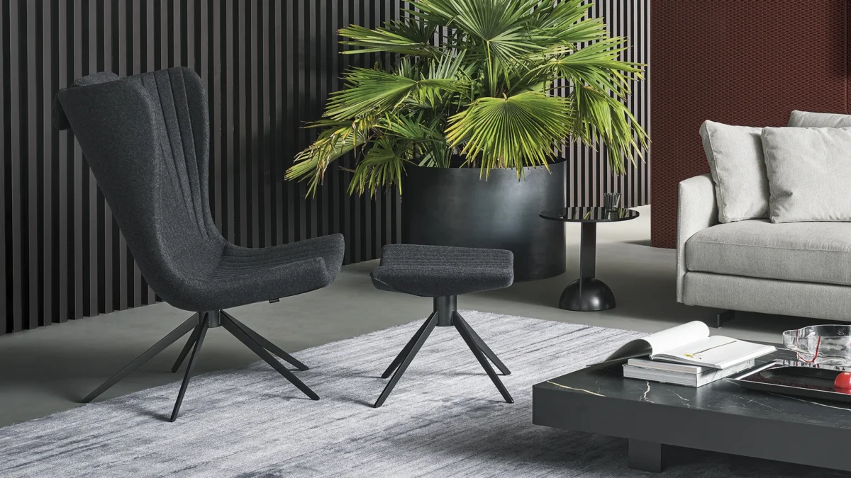 “Bonaldo Hummingbird lounge chair featuring graceful curves in Birmingham Michigan”