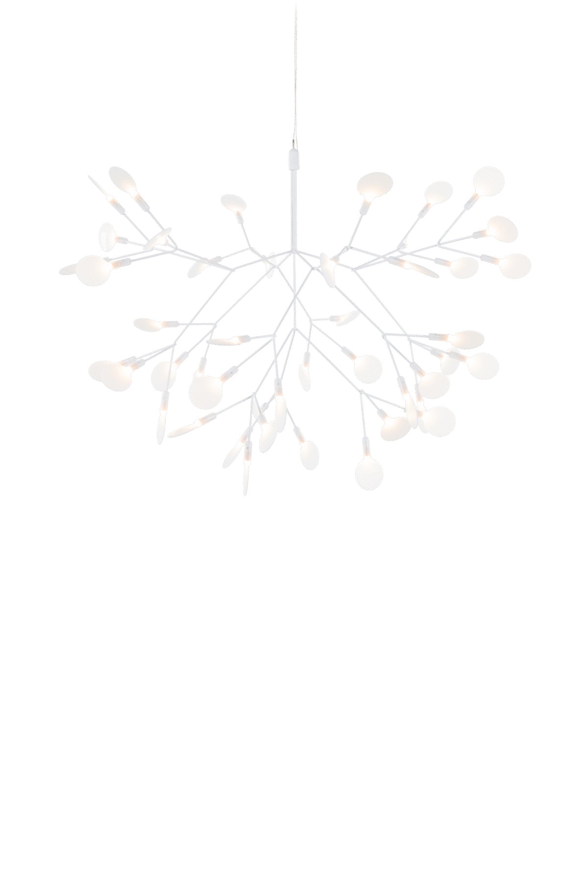 Heracleum III Suspended by Moooi, designed by Bertjan Pot, featuring organic LED branches inspired by the Heracleum plant. moooi.com +16 moooi.com +16 moooi.com +16