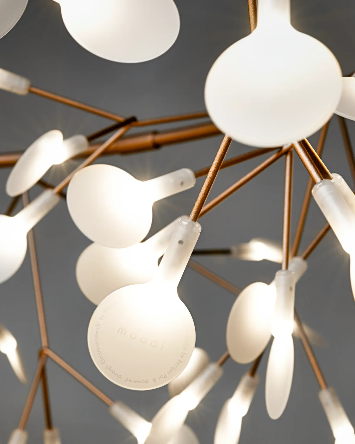 Heracleum Endless light by Moooi over dining table