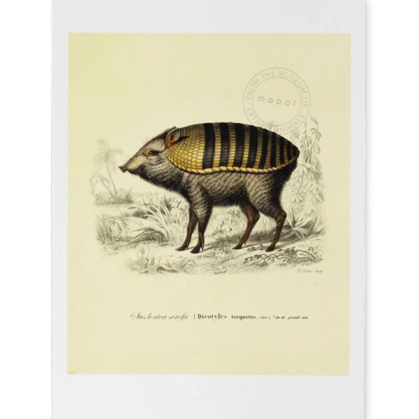 Modern Extinct Animals art print by Moooi, high-end Dutch design for Royal Oak, Michigan.