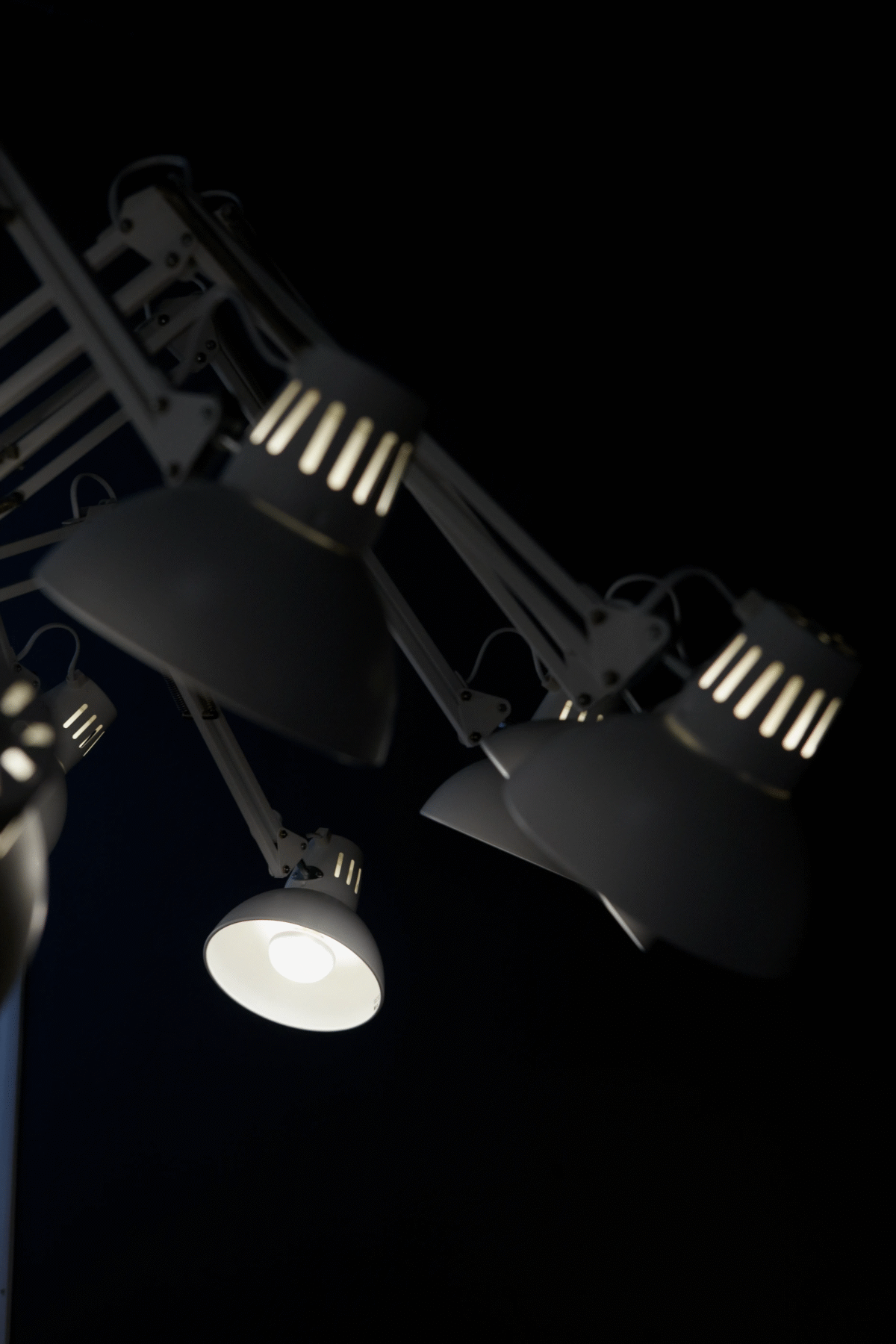 Sculptural Dear Ingo chandelier by Moooi, designed by Ron Gilad, featuring 16 adjustable lamps in a dynamic arrangement, available in Royal Oak, Michigan.