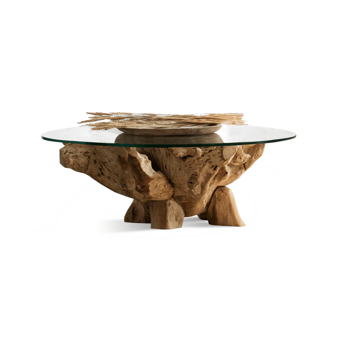“Pure Root Coffee Table 800 by Harbour – natural teak root coffee table with organic form and artisanal sculptural base”