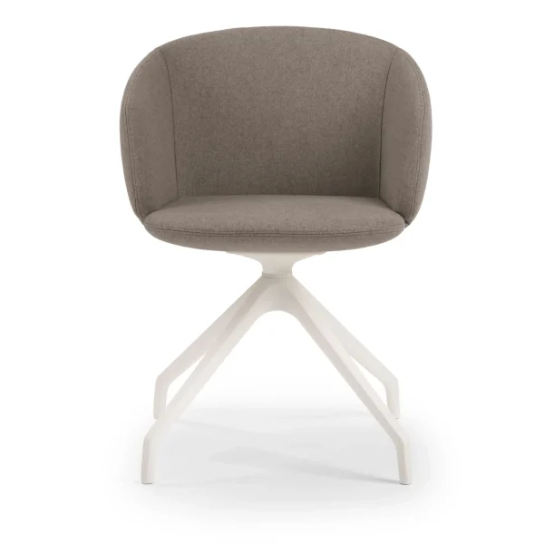 NOT MINI By True Design