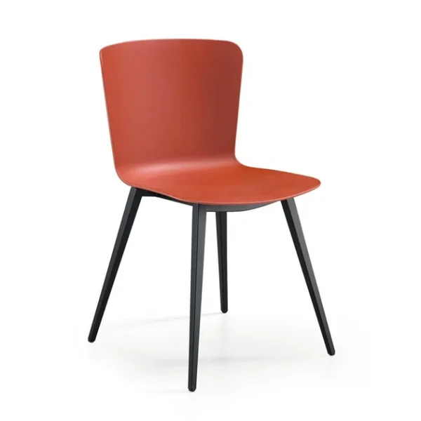 CALLA SM Q PP By Midj