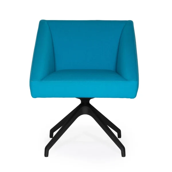 AMARCORD By Luxy