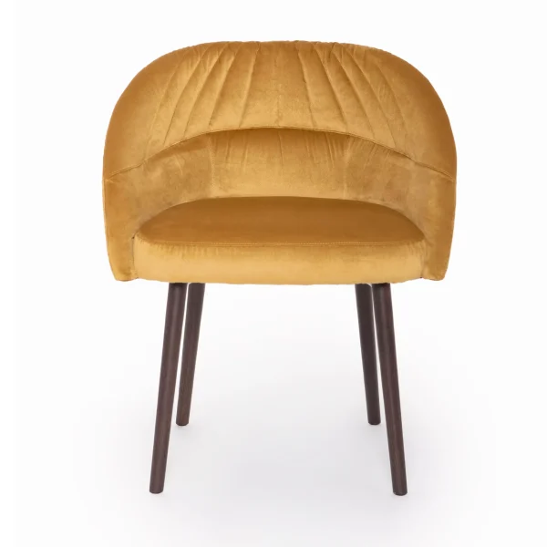 BIGHETTA By Luxy