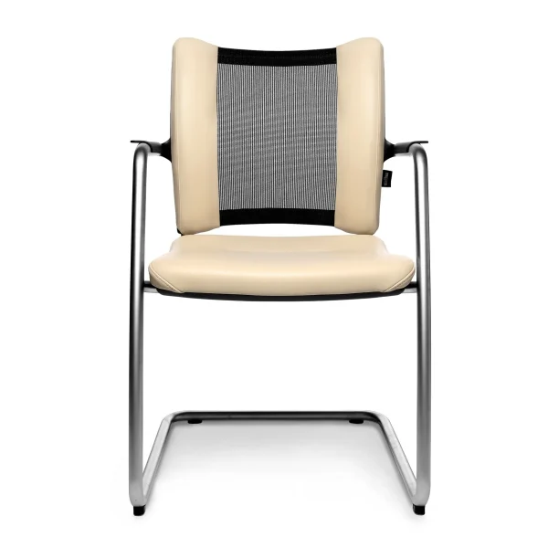 TITAN LIMITED VISIT | Cantilever chair By Wagner