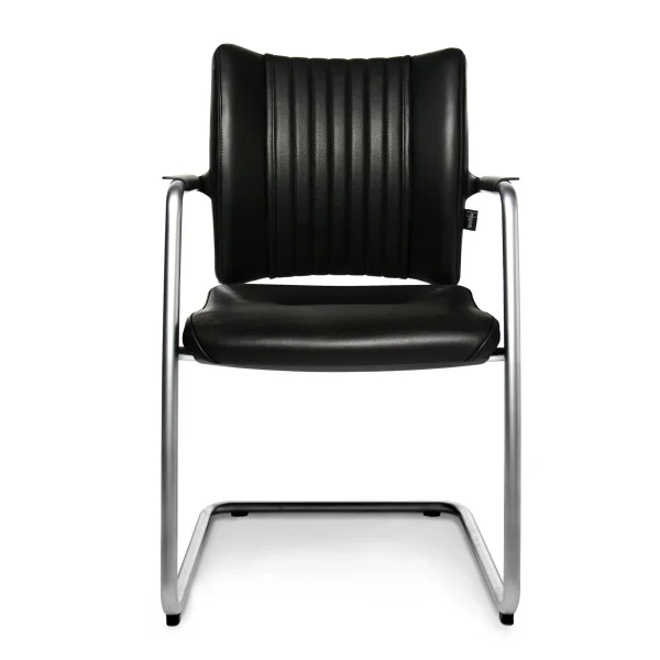 TITAN LIMITED S VISIT | Cantilever chair By Wagner