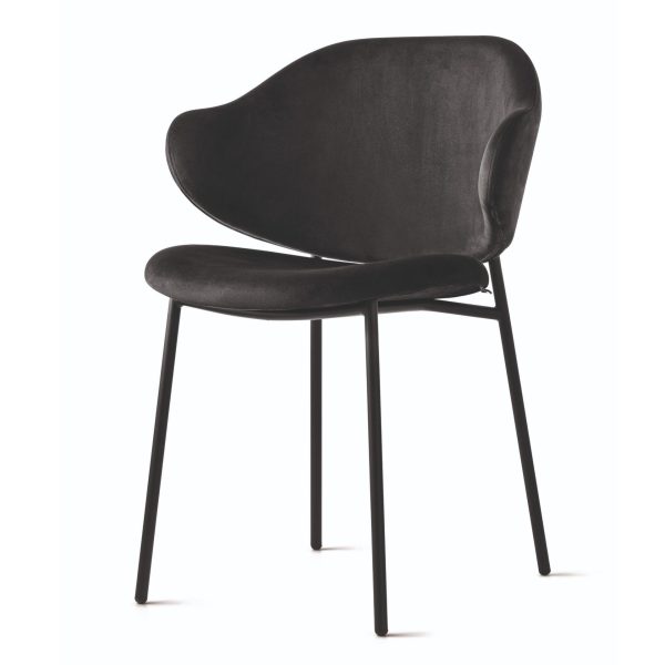 HOLLY By Calligaris