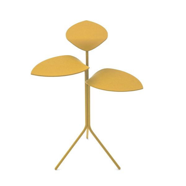 MORNING GLORY By Moroso