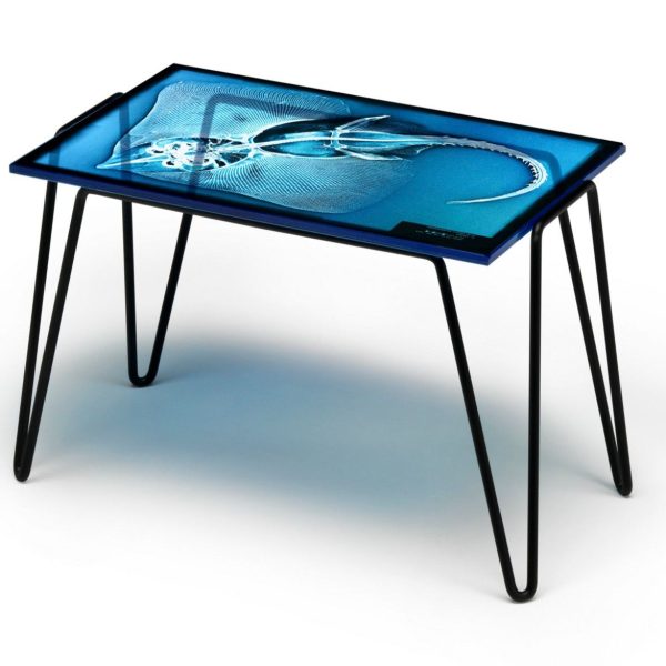 XRAYDIO By Moroso