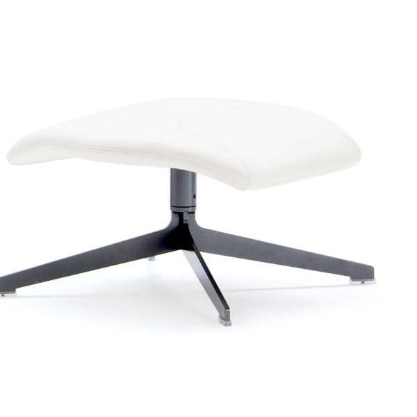 TAKE A LINE FOR A WALK By Moroso
