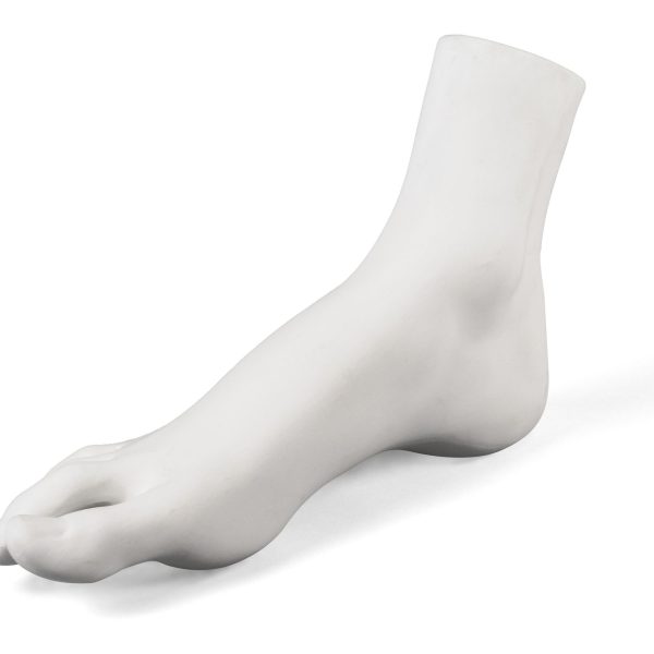 FEMALE FOOT By Seletti