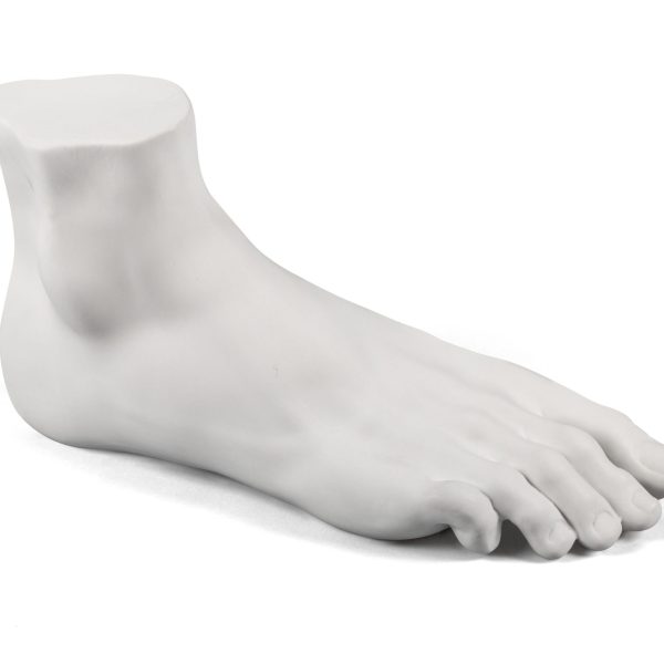 MALE FOOT By Seletti