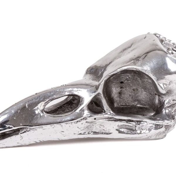 BIRD SKULL By Seletti