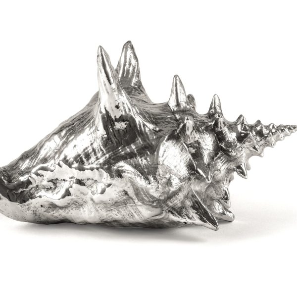 SHELL By Seletti