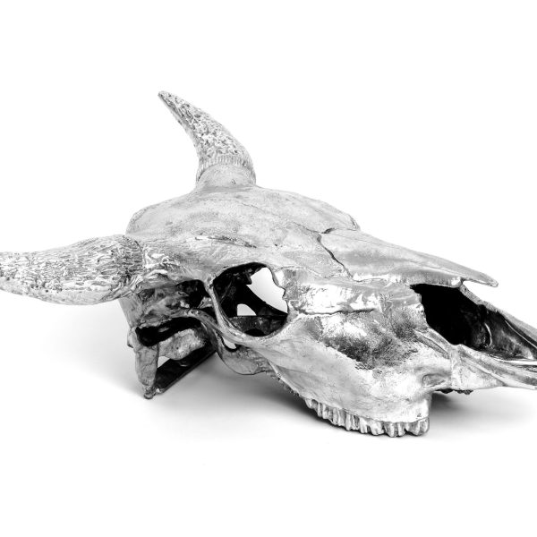 BISON SKULL By Seletti
