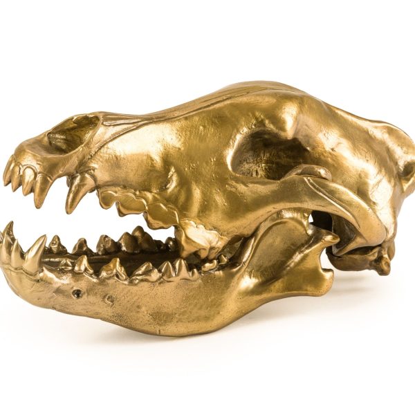 WOLF SKULL By Seletti