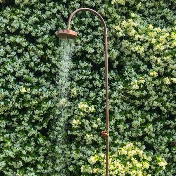 AQUART By Seletti