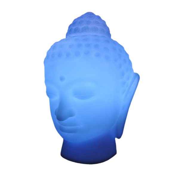 BUDDHA By SLIDE
