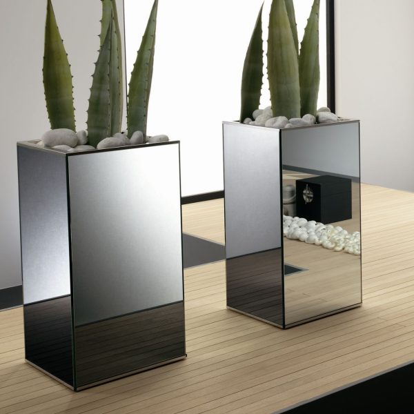 LINGO By Tonelli Design