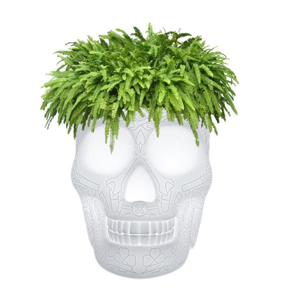 MEXICO PLANTER AND CHAMPAGNE COOLER LAMP By Qeeboo