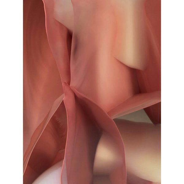 CARPET STUDIO NUCLEO By Qeeboo