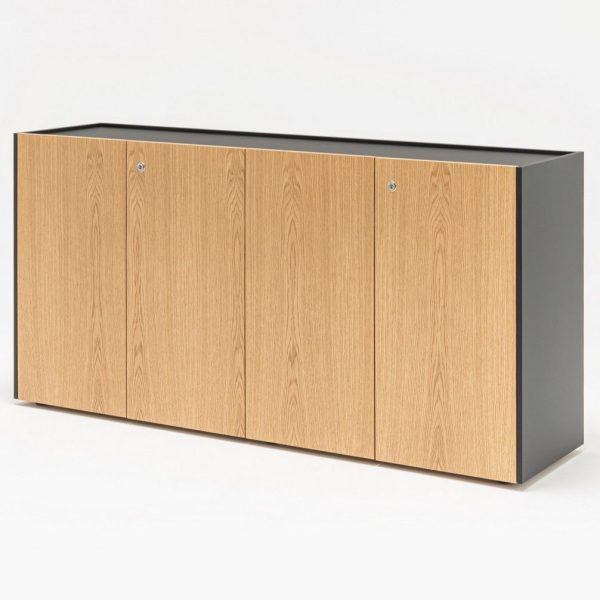 VIGA | Low office storage unit By MDD