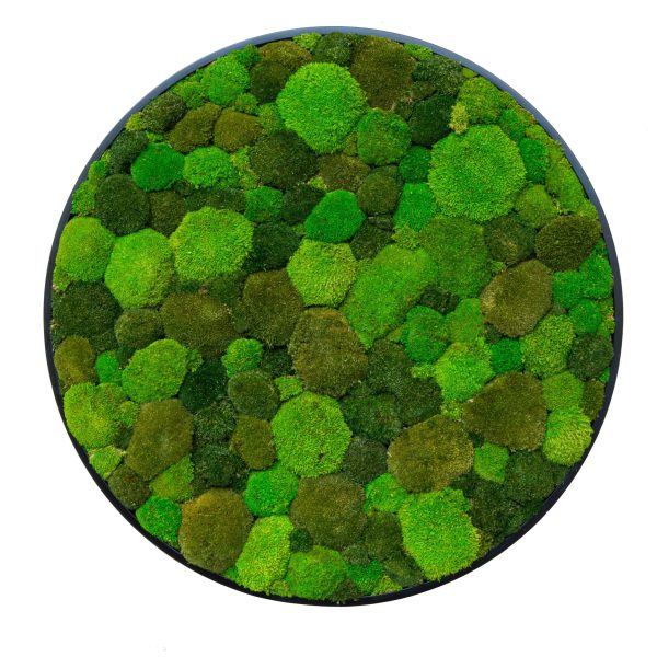 PUREKUSTIK SWEET GREEN TOUNDRA By Tecsound