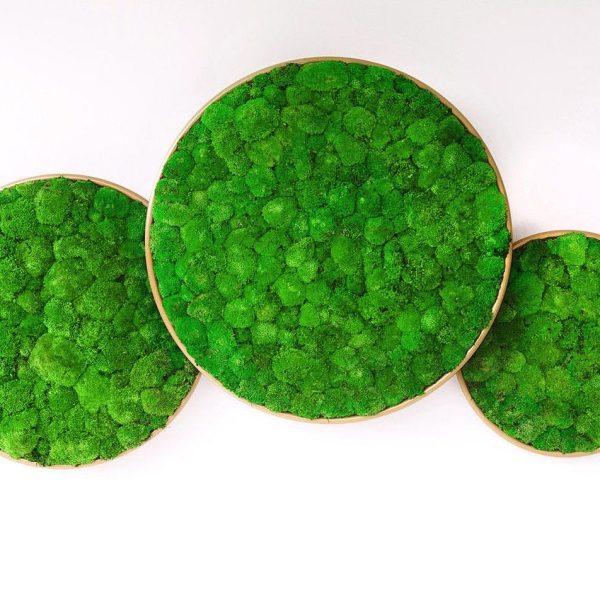 G-CIRCLES By GREENMOOD